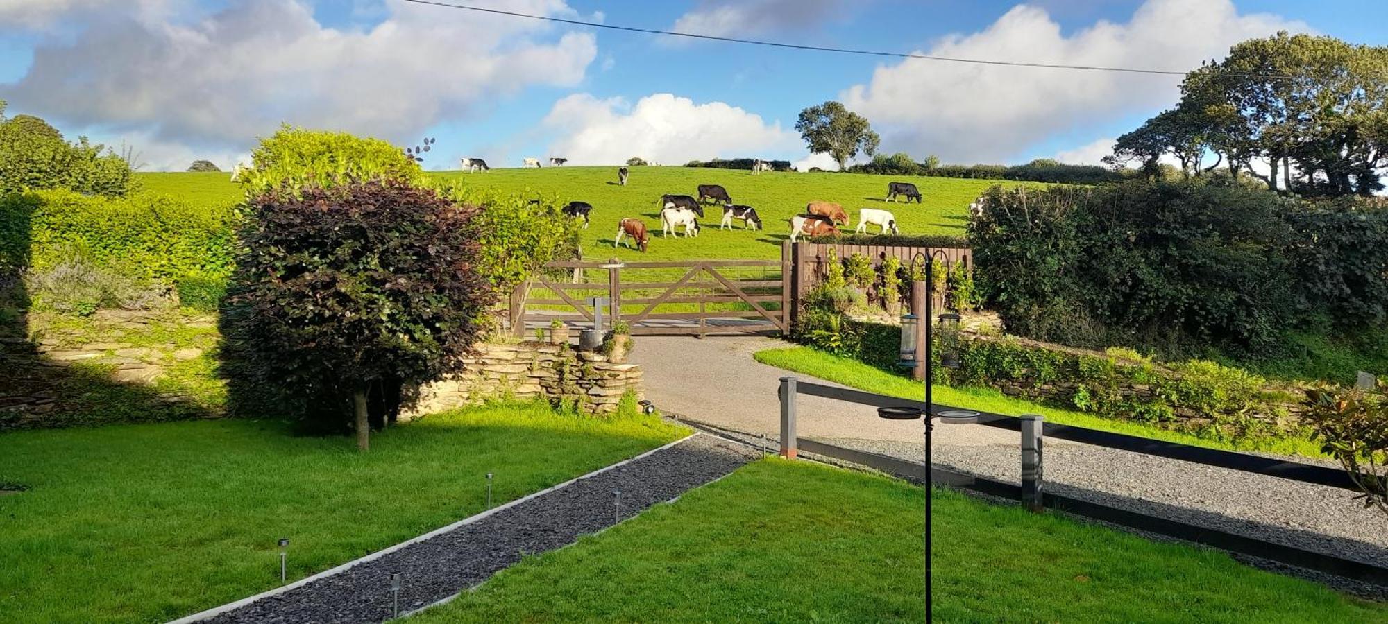 Villa Wisteria Barn, Trewethen, St Teath, Nr Port Isaac Saint Teath Exterior foto