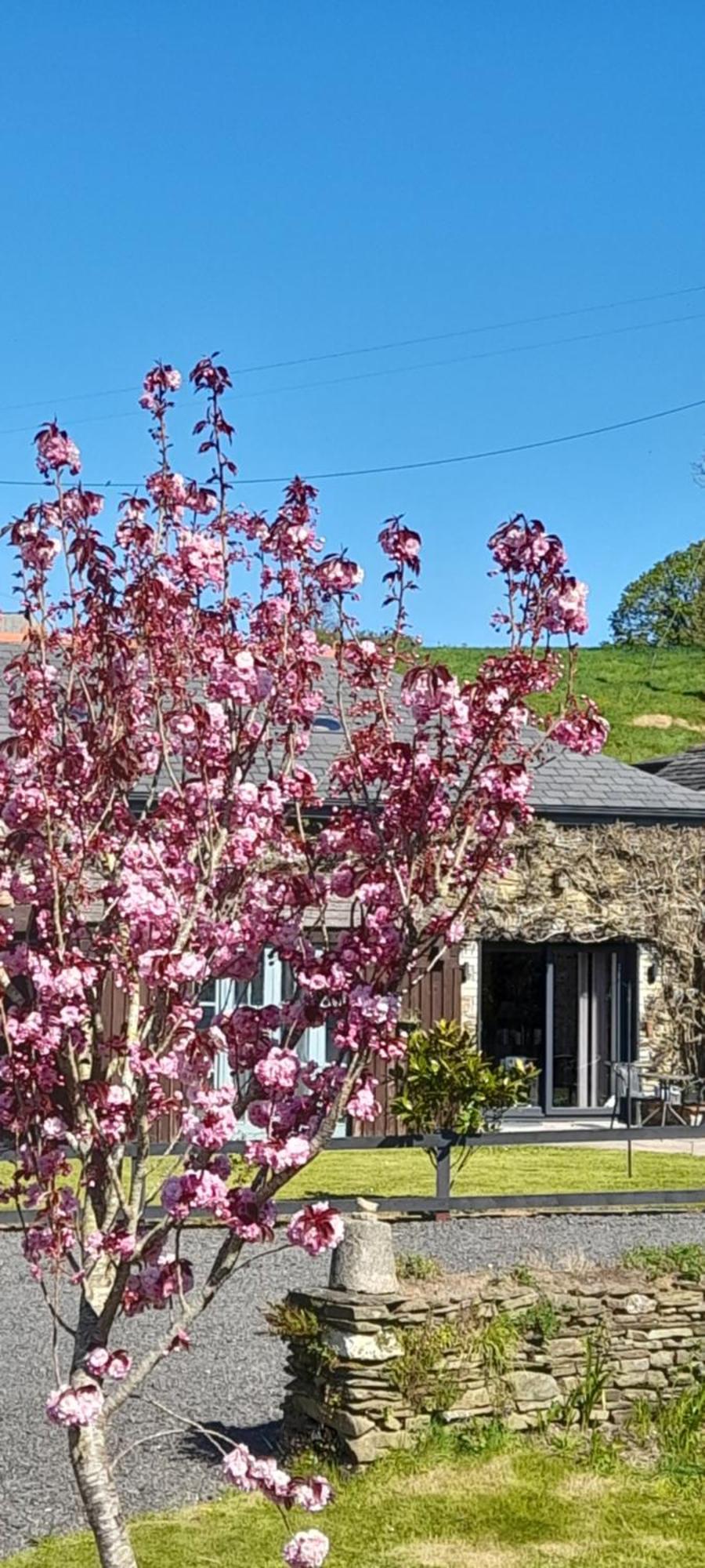 Villa Wisteria Barn, Trewethen, St Teath, Nr Port Isaac Saint Teath Exterior foto